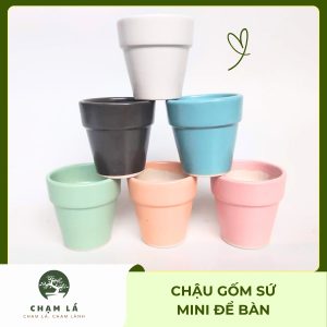 Chậu Gốm Sứ Mini Để Bàn | Chạm Lá