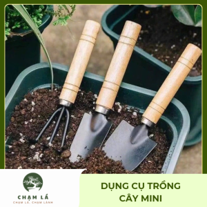 Dụng cụ làm vườn mini dùng để loàm việc trong những không gian hẹp và tiện lợi.