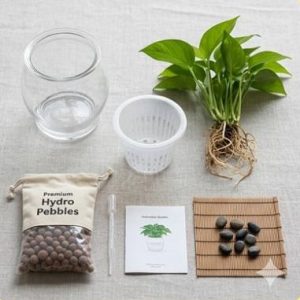 Bộ trồng cây thủy canh
