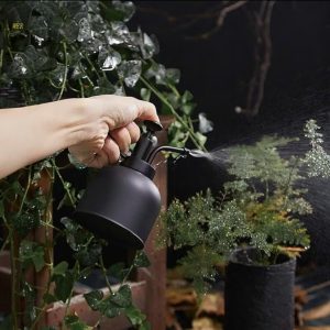 Bình tưới cây