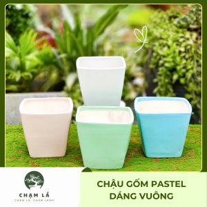 Chậu Gốm Pastel Dáng Vuông | Chạm Lá