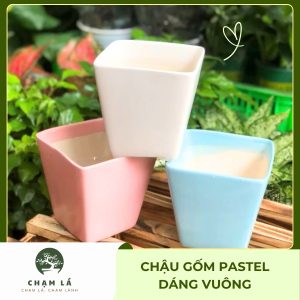 Chậu Gốm Pastel Dáng Vuông