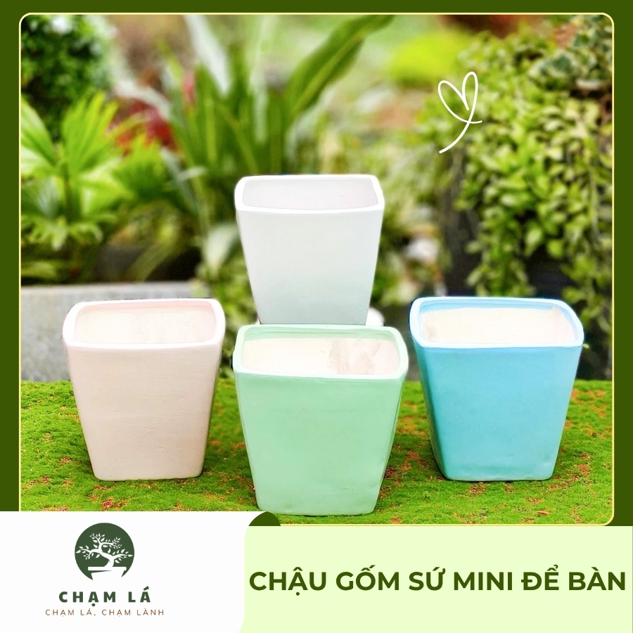 Chậu Gốm Sứ Mini Để Bàn