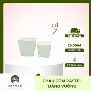 Chậu Gốm Pastel Dáng Vuông