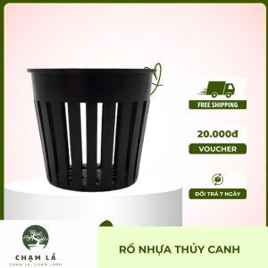 RỔ NHỰA THỦY CANH (NET POT) | Chạm Lá