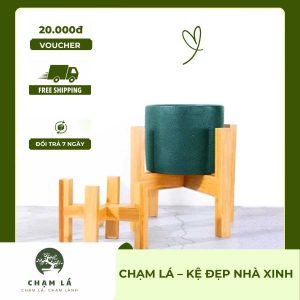 Kệ gỗ cho 1 chậu cây mini | Chạm Lá